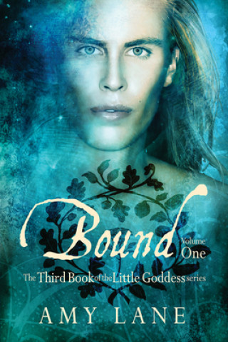 Buch Bound, Vol. 1 Amy Lane