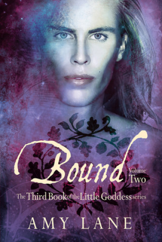 Könyv Bound, Vol. 2 Amy Lane