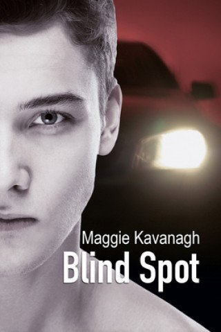 Könyv Blind Spot Maggie Kavanagh