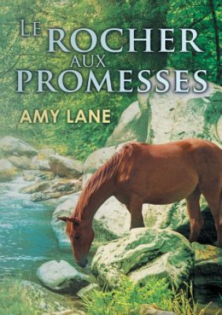 Książka Le Rocher Aux Promesses Amy Lane