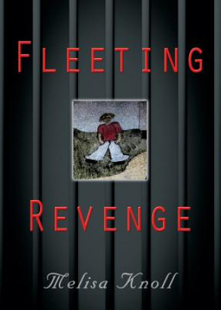 Könyv Fleeting Revenge Melisa Knoll