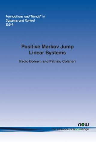 Kniha Positive Markov Jump Linear Systems Paolo Bolzern