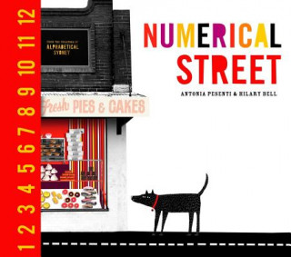 Könyv Numerical Street Antonia Pesenti