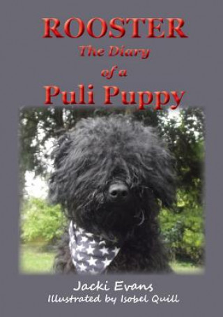 Knjiga Rooster - the Diary of a Puli Puppy Jacki Evans