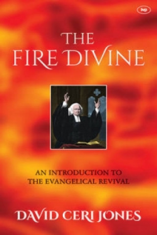 Kniha Fire Divine David Ceri Jones