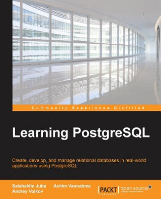 Könyv Learning PostgreSQL Salahaldin Juba