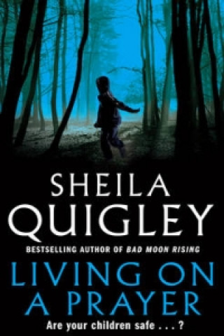 Knjiga Living on a Prayer Sheila Quigley