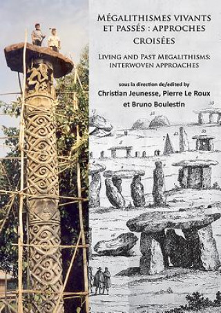 Kniha Megalithismes vivants et passes: approches croisees Christian Jeunesse