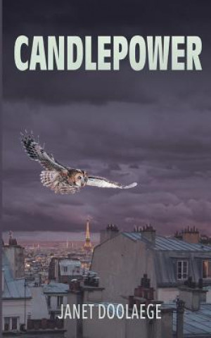 Kniha Candlepower Janet Doolaege