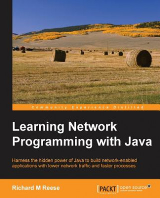 Książka Learning Network Programming with Java Richard M. Reese