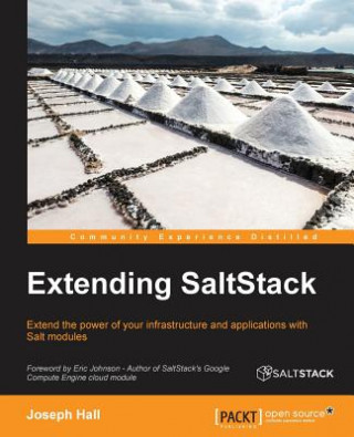 Könyv Extending SaltStack Joseph Hall