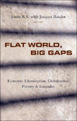Kniha Flat World, Big Gaps 
