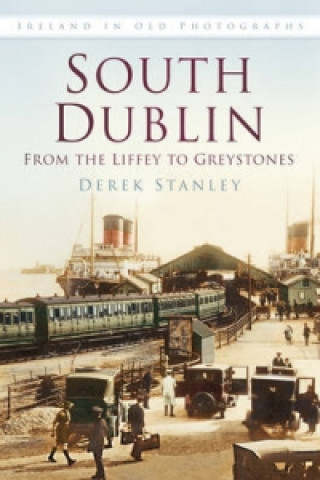 Kniha South Dublin: From the Liffey to Greystones Derek Stanley