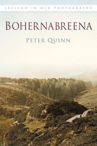 Book Bohernabreena Peter Quinn