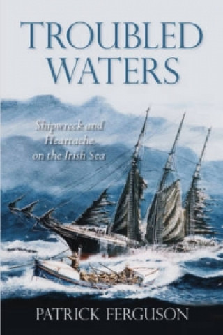 Kniha Troubled Waters Pat Ferguson