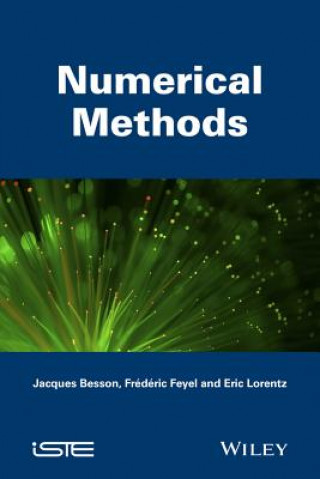 Kniha Numerical Methods Jacques Besson