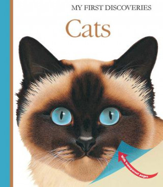 Kniha Cats Pascale de Bourgoing
