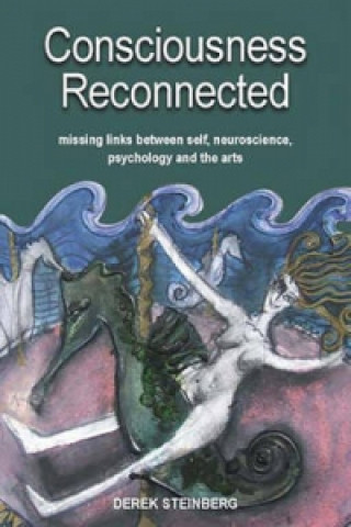 Kniha Consciousness Reconnected Derek Steinberg