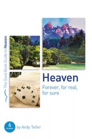 Libro Heaven: Forever, for real, for sure Andy Telfer