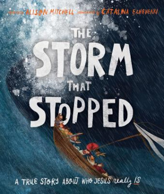 Kniha The Storm That Stopped Storybook Alison Mitchell