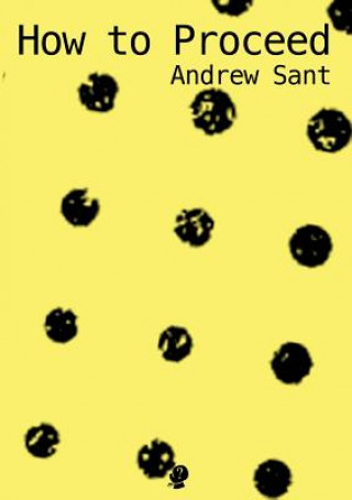 Book How to Proceed Andrew Sant