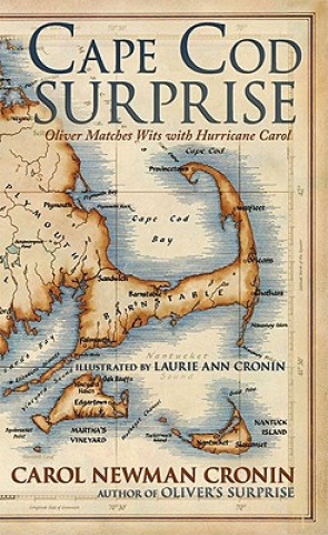 Książka Cape Cod Surprise Carol Newman Cronin