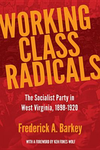 Knjiga Working Class Radicals Frederick A. Barkey