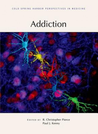 Libro Addiction Paul J Kenny