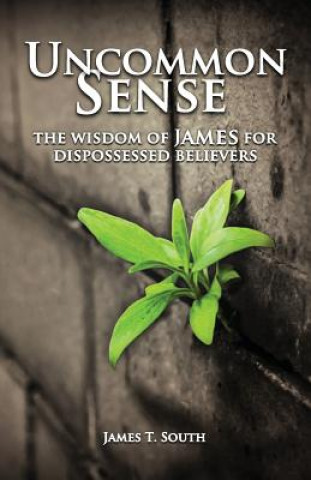 Książka Uncommon Sense James T South