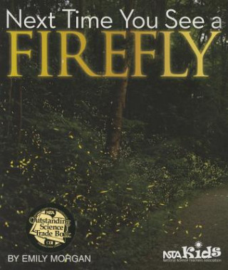 Książka Next Time You See a Firefly Emily R Morgan