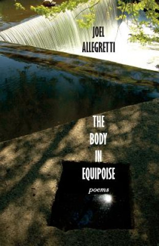 Knjiga Body in Equipoise Joel Allegretti