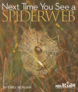 Könyv Next Time You See a Spiderweb Emily Morgan