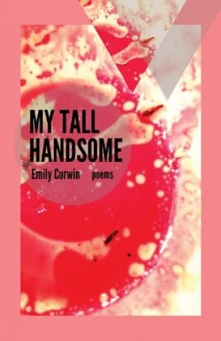 Kniha My Tall Handsome Emily Corwin