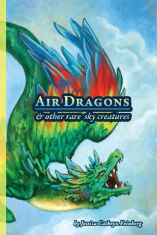 Könyv Air Dragons & Other Rare Sky Creatures Jessica Feinberg
