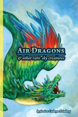 Książka Air Dragons & Other Rare Sky Creatures Jessica Feinberg