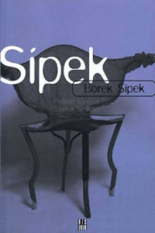 Book Borek Sipek Philippe Louguet