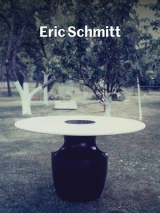 Kniha Eric Schmitt Pierre Doze