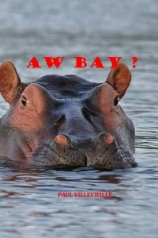 Libro Aw Bay ? Paul Villevieille