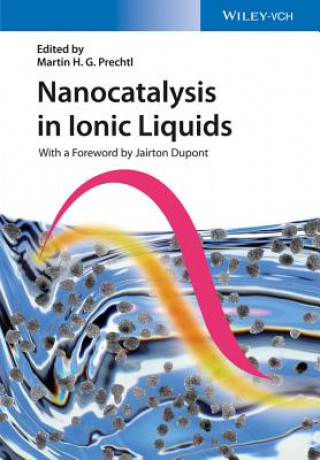 Kniha Nanocatalysis in Ionic Liquids Martin Prechtl