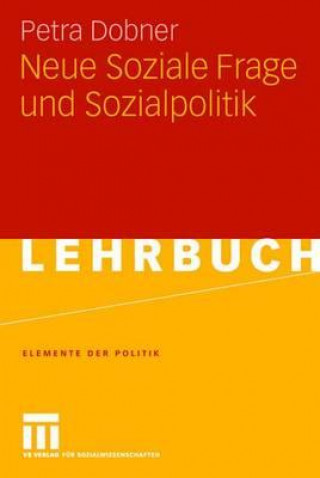 Kniha Neue Soziale Frage Und Sozialpolitik Petra Dobner