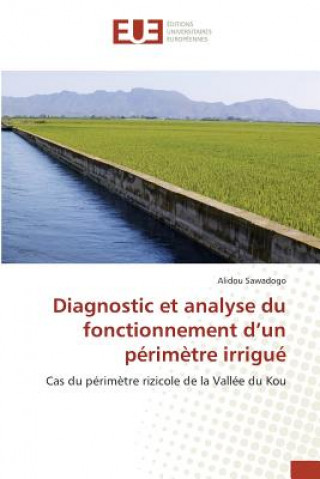 Carte Diagnostic Et Analyse Du Fonctionnement d'Un Perimetre Irrigue Sawadogo Alidou