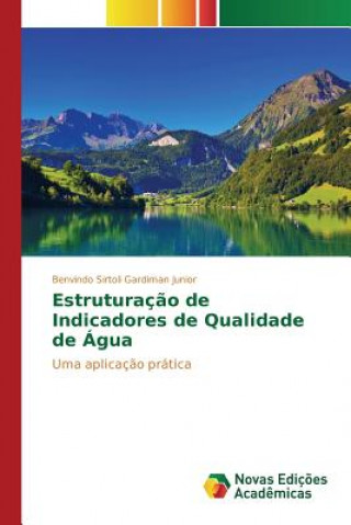Книга Estruturacao de Indicadores de Qualidade de Agua Gardiman Junior Benvindo Sirtoli
