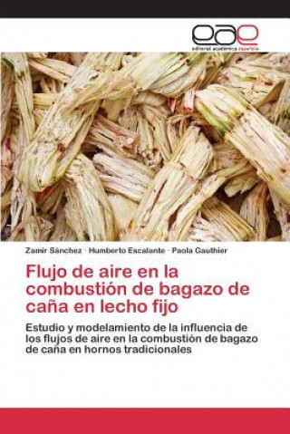 Buch Flujo de aire en la combustion de bagazo de cana en lecho fijo Sanchez Zamir