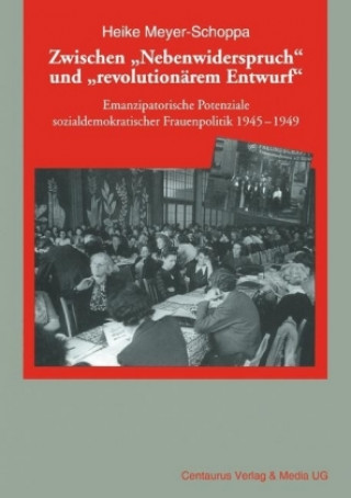 Book Zwischen "Nebenwiderspruch" und "revolutionarem Entwurf" MEYER SCHOPPA  HEIKE