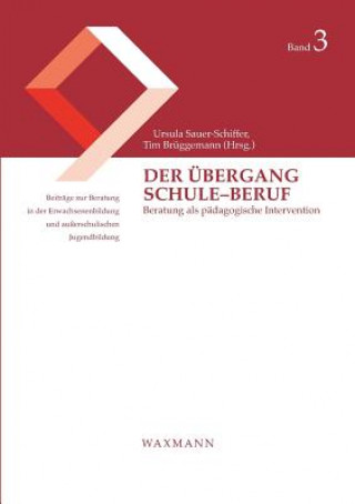 Carte UEbergang Schule-Beruf Ursula Sauer-Schiffer