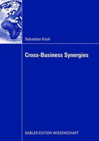 Buch Cross-Business Synergies Sebastian Knoll