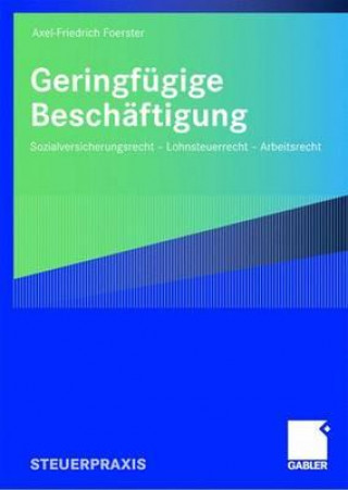 Kniha Geringfugige Beschaftigung Axel-Friedrich Foerster