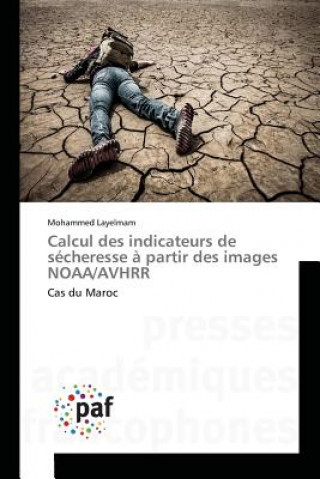 Kniha Calcul Des Indicateurs de Secheresse A Partir Des Images Noaa/Avhrr Layelmam Mohammed