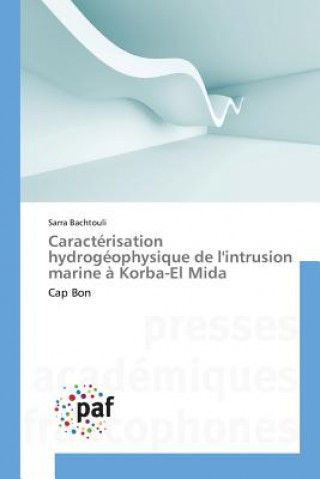 Könyv Caracterisation Hydrogeophysique de Lintrusion Marine A Korba-El Mida Bachtouli Sarra