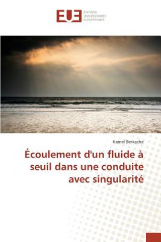 Könyv Ecoulement d'Un Fluide A Seuil Dans Une Conduite Avec Singularite Berkache Kamel
